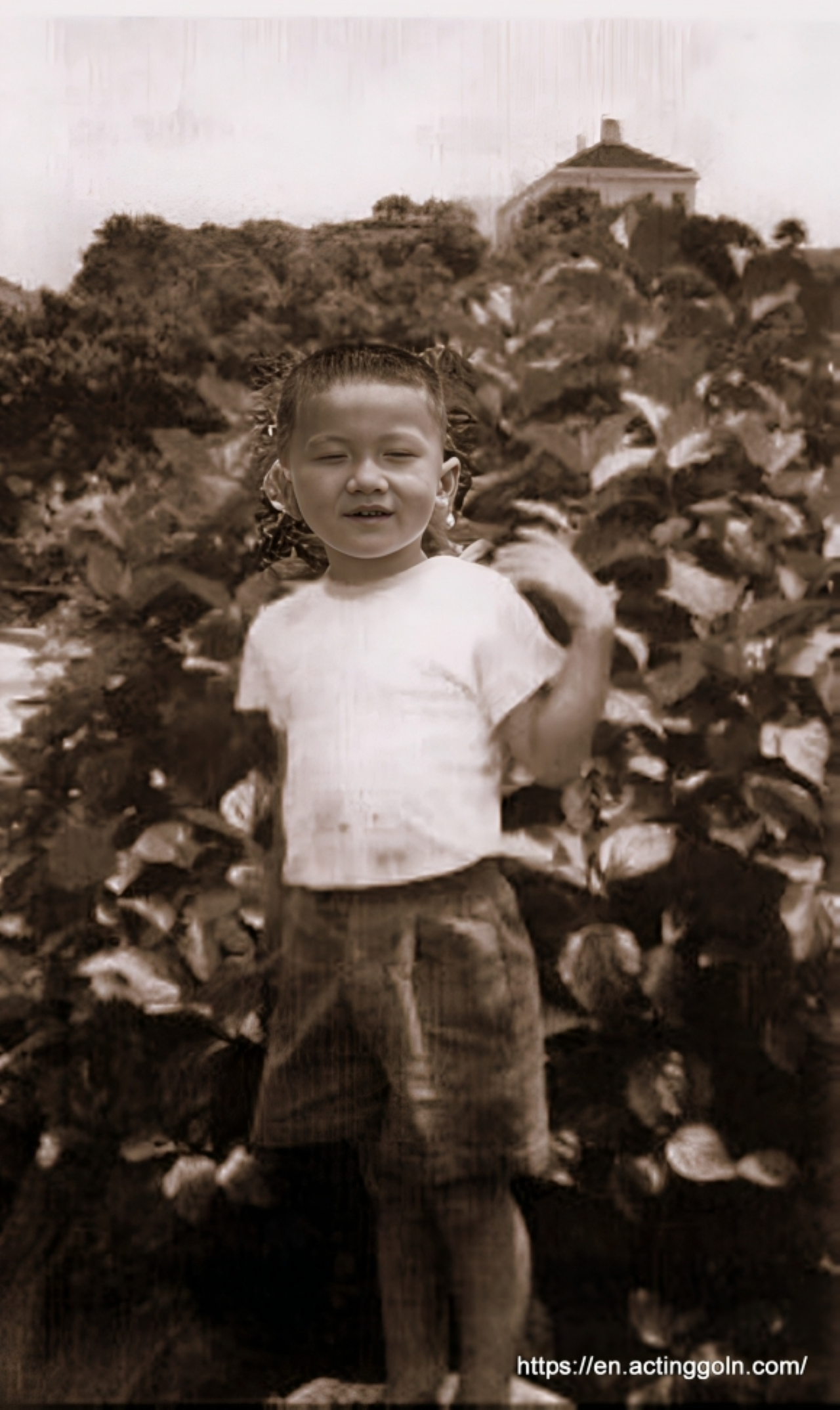 1. He Could’ve Been Named “Cannonball” at Birth!Jackie Chan was born on April 7, 1954, at Victoria Peak in Hong Kong. At birth, he weighed nearly 12 pounds! The doctors were shocked and said they had never seen such a big baby before. His parents jokingly called him “Pao Chu,” which means "cannonball"!